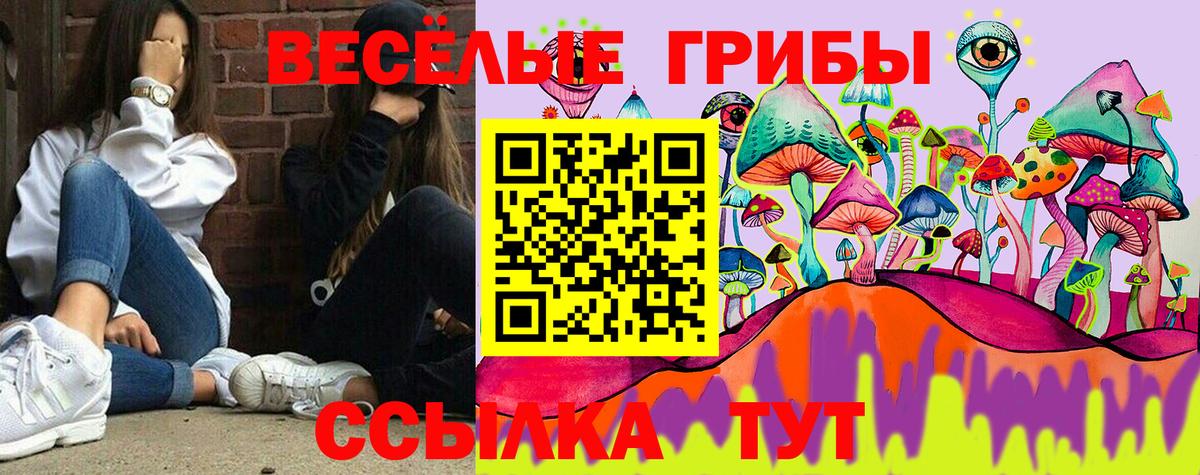 Галлюциногенные грибы Psilocybe Кулебаки